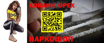 индика Славгород