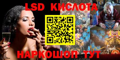 индика Славгород