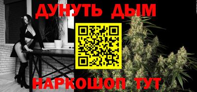 индика Славгород