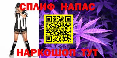 индика Славгород