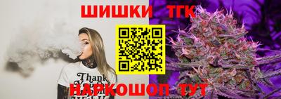 индика Славгород