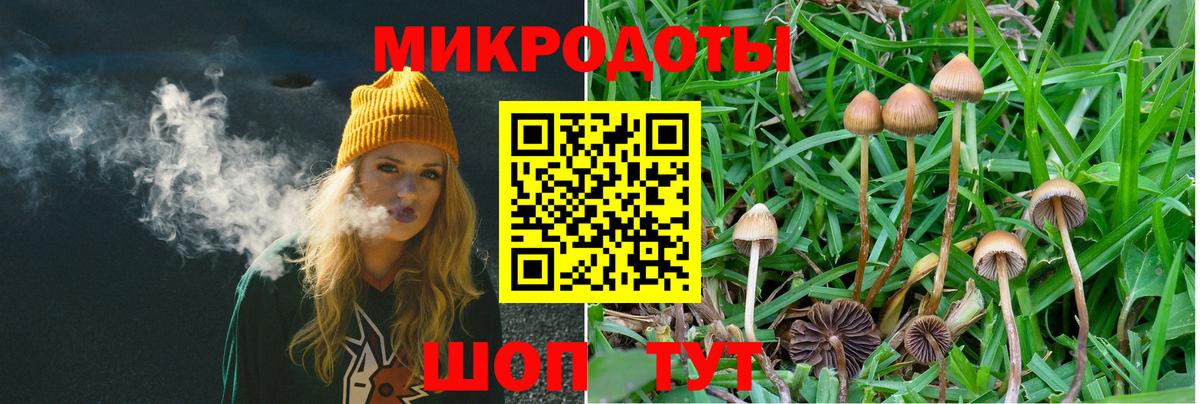 Псилоцибиновые грибы Cubensis Подольск