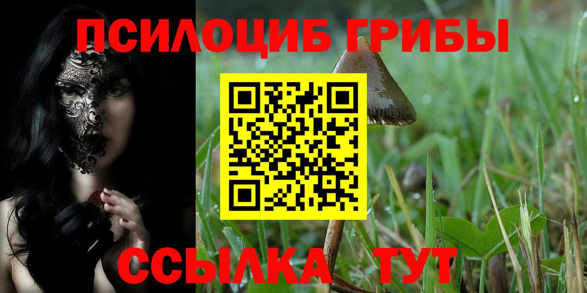 Псилоцибиновые грибы MAGIC MUSHROOMS  Вход с VPN  Подольск 